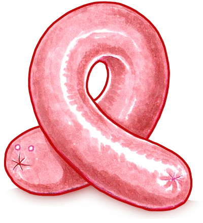 Hybrid hot dog-pretzel children who don't fit in a bun